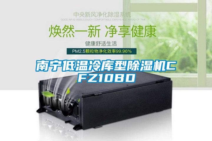 南寧低溫冷庫型除濕機(jī)CFZ10BD