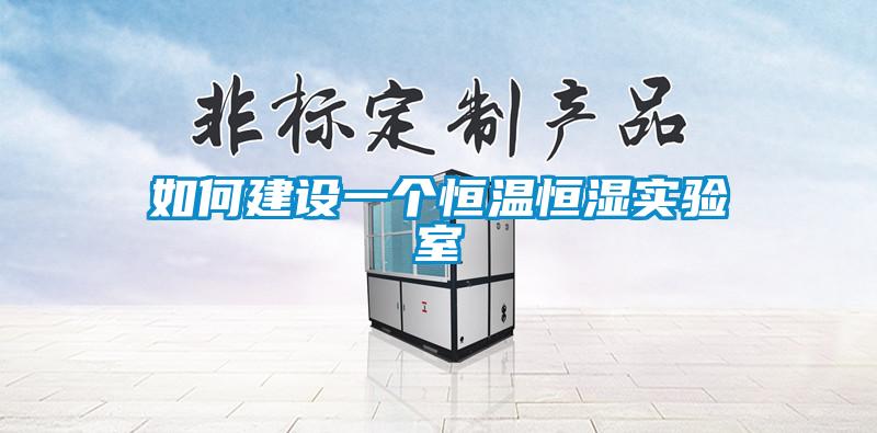 如何建設(shè)一個恒溫恒濕實驗室