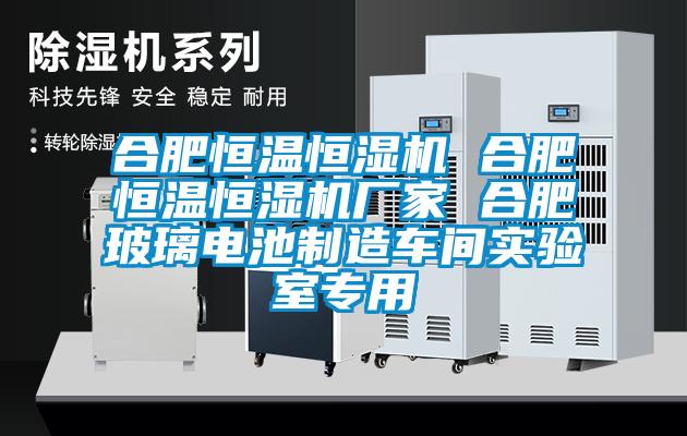 合肥恒溫恒濕機(jī) 合肥恒溫恒濕機(jī)廠家 合肥玻璃電池制造車(chē)間實(shí)驗(yàn)室專(zhuān)用