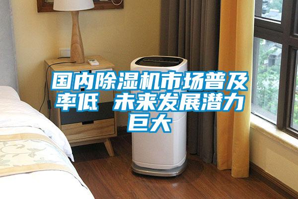 國內(nèi)除濕機(jī)市場普及率低 未來發(fā)展?jié)摿薮?/></p>
						    <p style=
