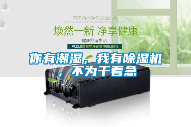 你有潮濕，我有除濕機(jī)，不為干著急