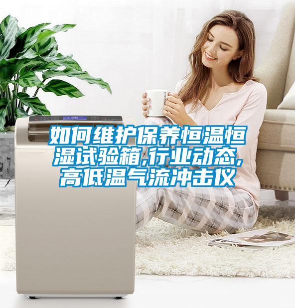 如何維護(hù)保養(yǎng)恒溫恒濕試驗(yàn)箱,行業(yè)動態(tài),高低溫氣流沖擊儀