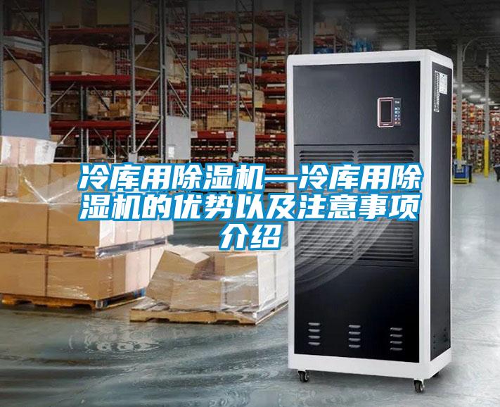 冷庫用除濕機(jī)—冷庫用除濕機(jī)的優(yōu)勢(shì)以及注意事項(xiàng)介紹