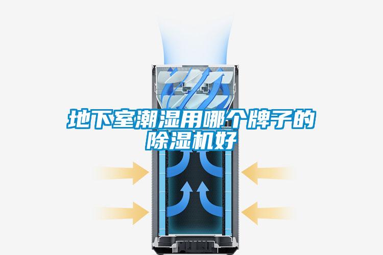 地下室潮濕用哪個牌子的除濕機(jī)好