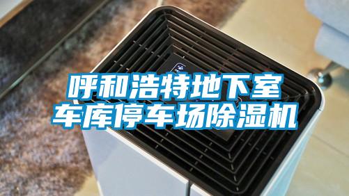 呼和浩特地下室車庫停車場除濕機(jī)