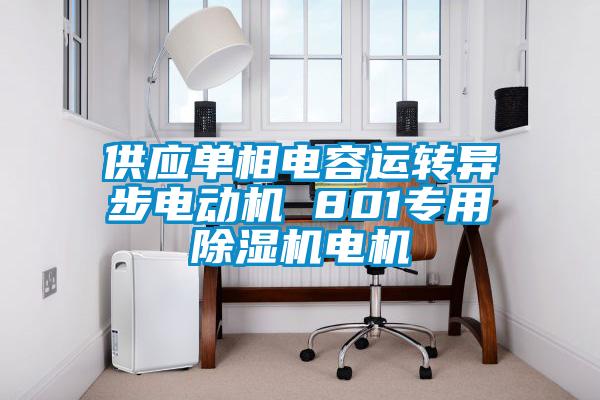 供應(yīng)單相電容運轉(zhuǎn)異步電動機 801專用除濕機電機