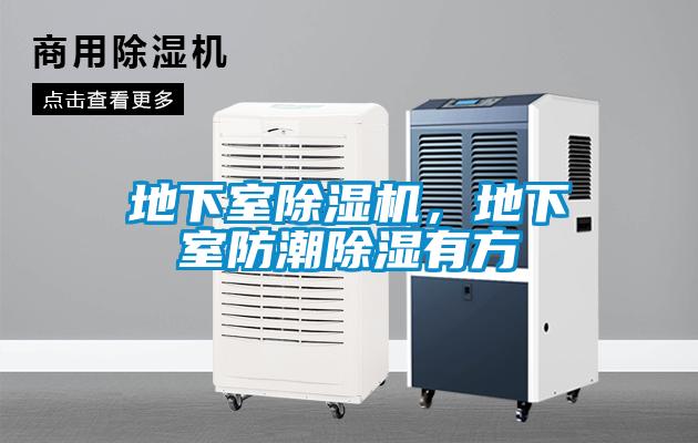 地下室除濕機(jī)，地下室防潮除濕有方