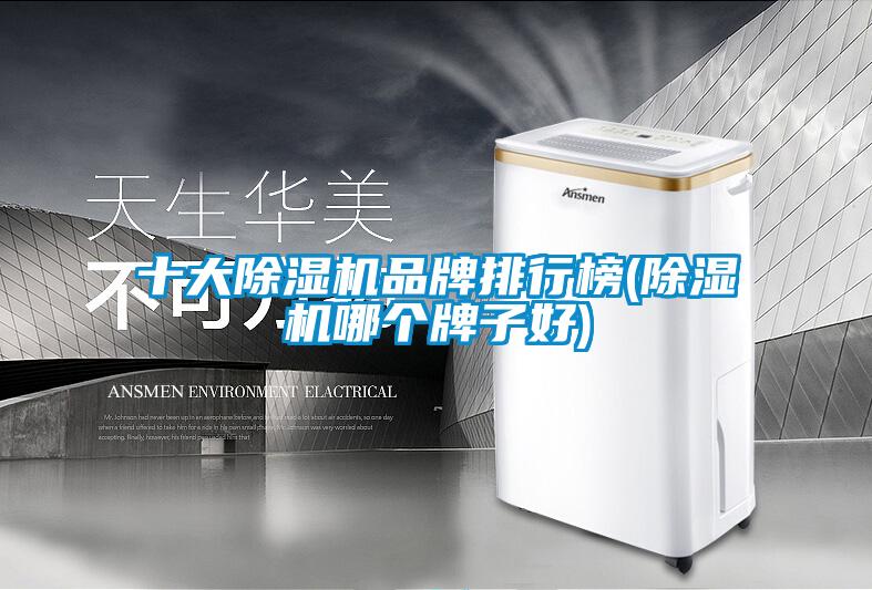 十大除濕機(jī)品牌排行榜(除濕機(jī)哪個(gè)牌子好)