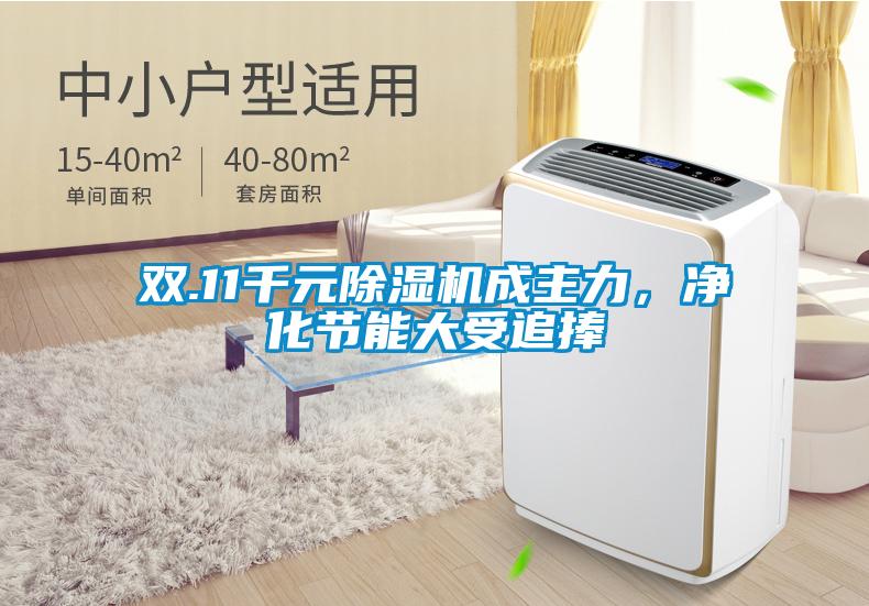 雙.11千元除濕機(jī)成主力，凈化節(jié)能大受追捧