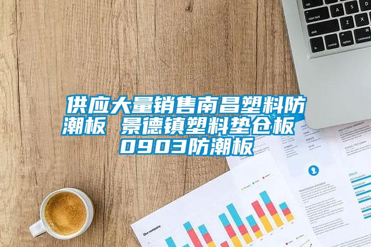 供應(yīng)大量銷售南昌塑料防潮板 景德鎮(zhèn)塑料墊倉板 0903防潮板
