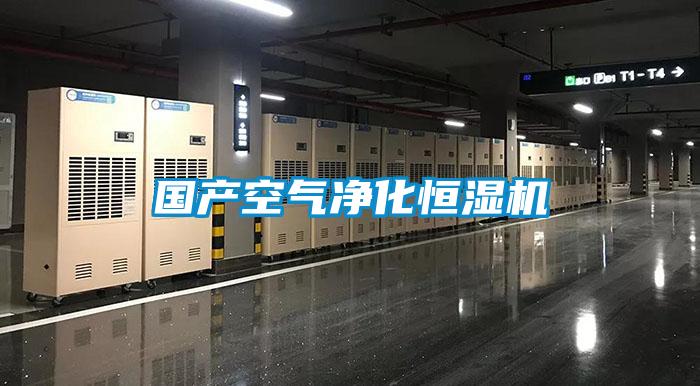 國產(chǎn)空氣凈化恒濕機