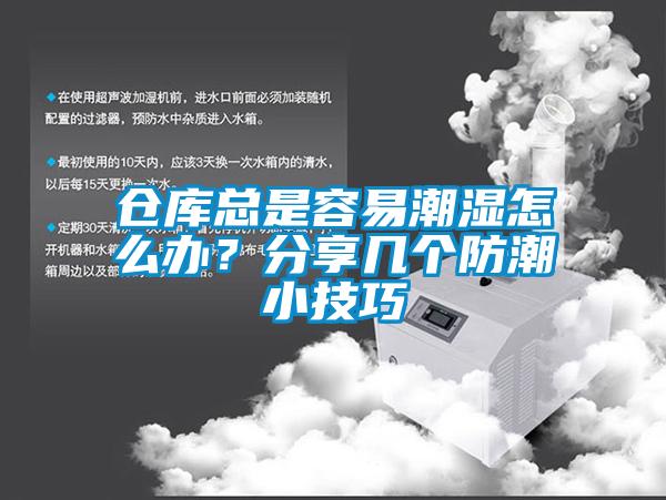 倉庫總是容易潮濕怎么辦？分享幾個(gè)防潮小技巧