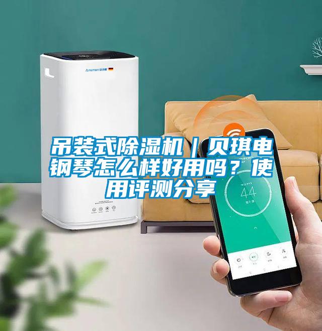 吊裝式除濕機｜貝琪電鋼琴怎么樣好用嗎？使用評測分享