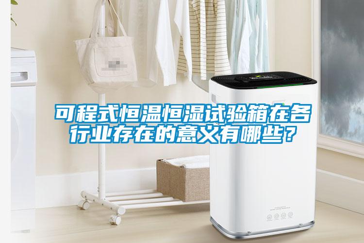 可程式恒溫恒濕試驗(yàn)箱在各行業(yè)存在的意義有哪些？