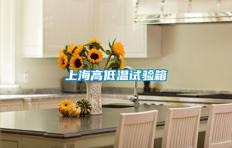 上海高低溫試驗(yàn)箱