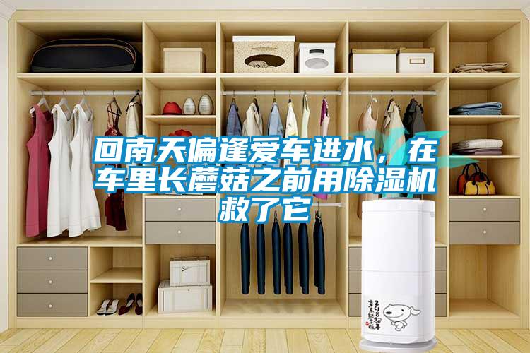 回南天偏逢愛車進(jìn)水，在車?yán)镩L蘑菇之前用除濕機救了它