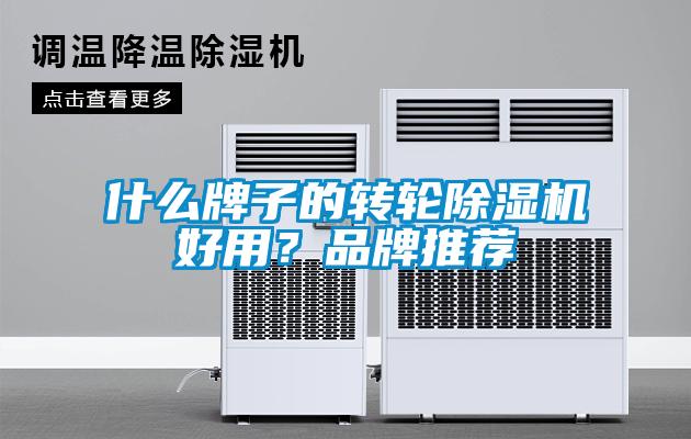 什么牌子的轉(zhuǎn)輪除濕機(jī)好用？品牌推薦