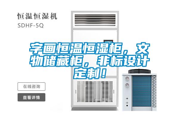 字畫(huà)恒溫恒濕柜，文物儲(chǔ)藏柜，非標(biāo)設(shè)計(jì)定制！