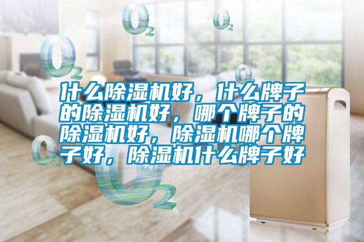 什么除濕機好，什么牌子的除濕機好，哪個牌子的除濕機好，除濕機哪個牌子好，除濕機什么牌子好