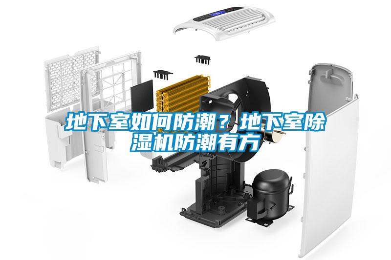 地下室如何防潮？地下室除濕機防潮有方