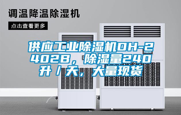 供應(yīng)工業(yè)除濕機(jī)DH-2402B，除濕量240升／天，大量現(xiàn)貨