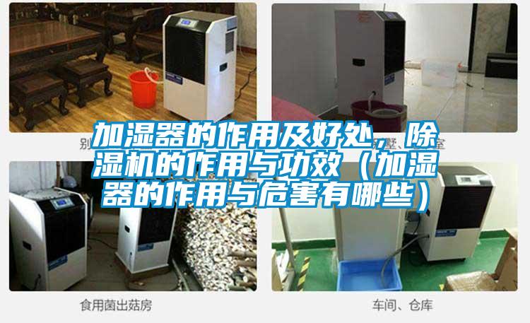 加濕器的作用及好處，除濕機(jī)的作用與功效（加濕器的作用與危害有哪些）