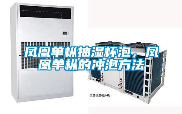 鳳凰單樅抽濕杯泡，鳳凰單樅的沖泡方法