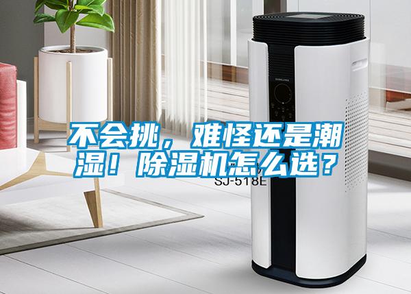 不會(huì)挑，難怪還是潮濕！除濕機(jī)怎么選？