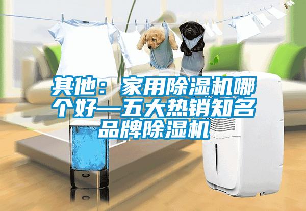 其他：家用除濕機(jī)哪個(gè)好—五大熱銷知名品牌除濕機(jī)