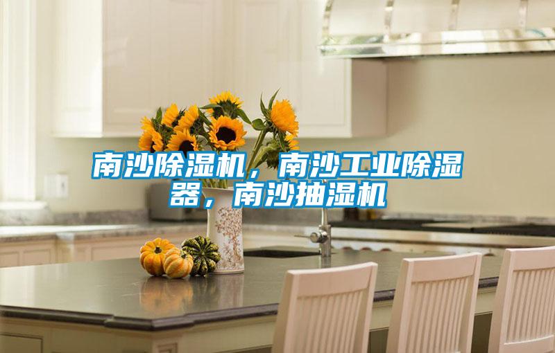 南沙除濕機(jī)，南沙工業(yè)除濕器，南沙抽濕機(jī)