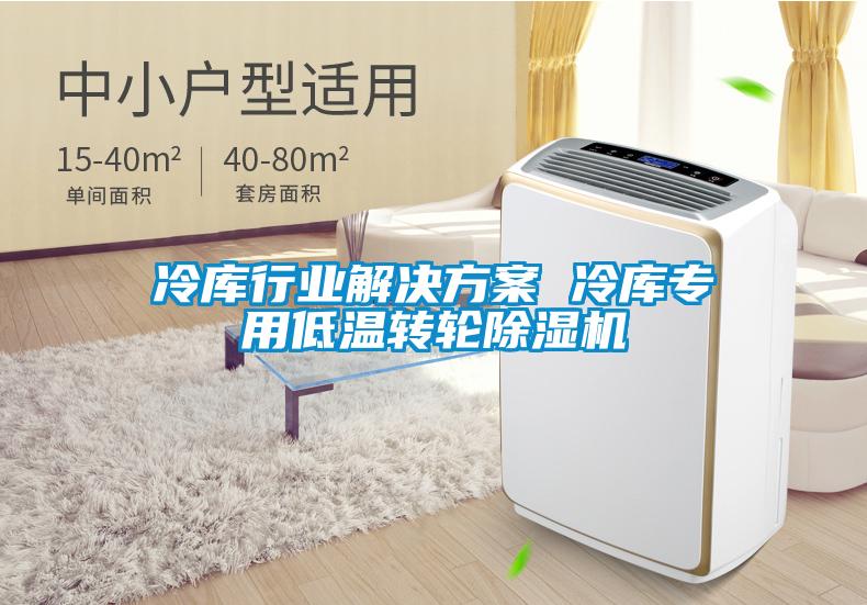 冷庫行業(yè)解決方案 冷庫專用低溫轉輪除濕機