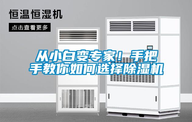 從小白變專家！手把手教你如何選擇除濕機