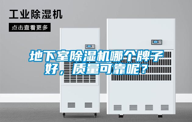 地下室除濕機哪個牌子好，質量可靠呢？
