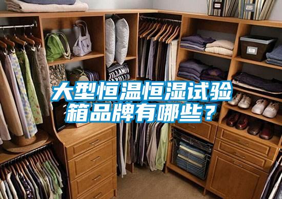 大型恒溫恒濕試驗(yàn)箱品牌有哪些？