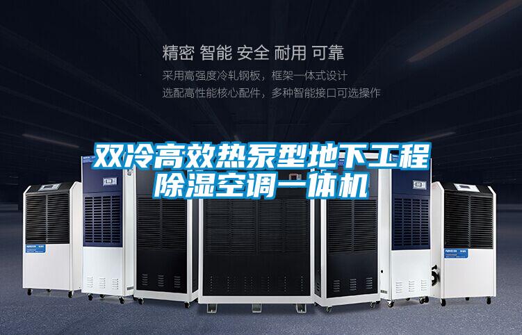 雙冷高效熱泵型地下工程除濕空調(diào)一體機