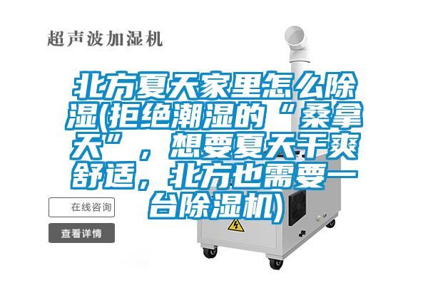 北方夏天家里怎么除濕(拒絕潮濕的“桑拿天”，想要夏天干爽舒適，北方也需要一臺除濕機)