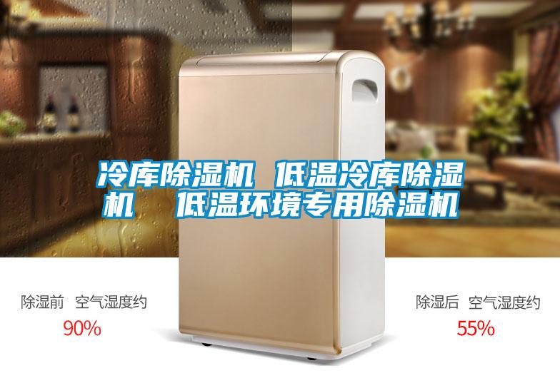 冷庫除濕機(jī) 低溫冷庫除濕機(jī)  低溫環(huán)境專用除濕機(jī)