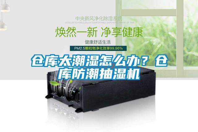 倉庫太潮濕怎么辦？倉庫防潮抽濕機(jī)