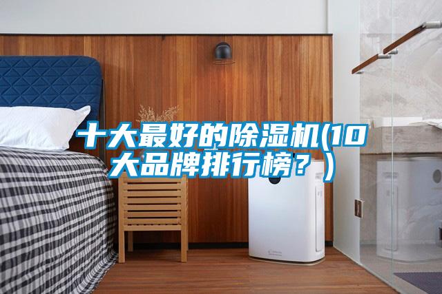 十大最好的除濕機(jī)(10大品牌排行榜？)