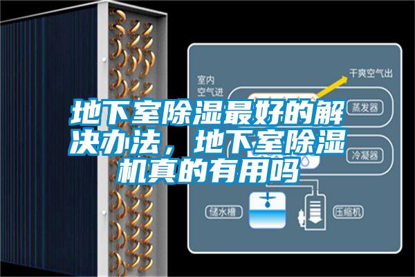 地下室除濕最好的解決辦法，地下室除濕機(jī)真的有用嗎