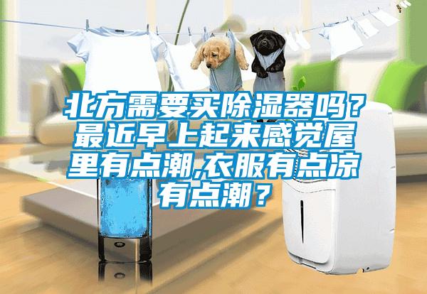 北方需要買(mǎi)除濕器嗎？最近早上起來(lái)感覺(jué)屋里有點(diǎn)潮,衣服有點(diǎn)涼有點(diǎn)潮？