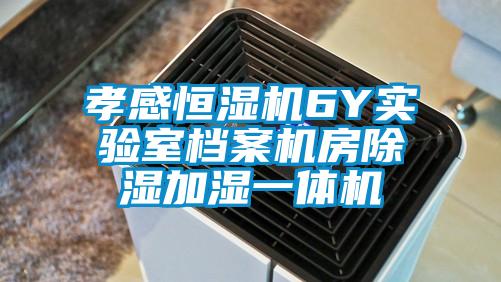 孝感恒濕機(jī)6Y實(shí)驗(yàn)室檔案機(jī)房除濕加濕一體機(jī)