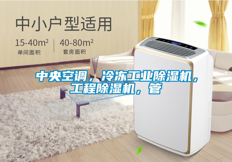 中央空調(diào)，冷凍工業(yè)除濕機(jī)，工程除濕機(jī)，管