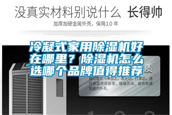 冷凝式家用除濕機好在哪里？除濕機怎么選哪個品牌值得推薦