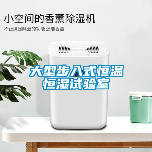 大型步入式恒溫恒濕試驗(yàn)室
