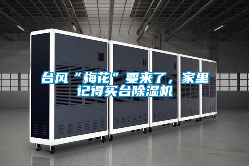 臺(tái)風(fēng)“梅花”要來(lái)了，家里記得買(mǎi)臺(tái)除濕機(jī)