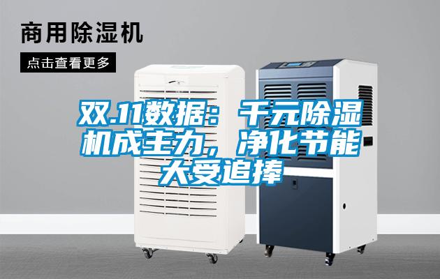 雙.11數(shù)據(jù)：千元除濕機成主力，凈化節(jié)能大受追捧