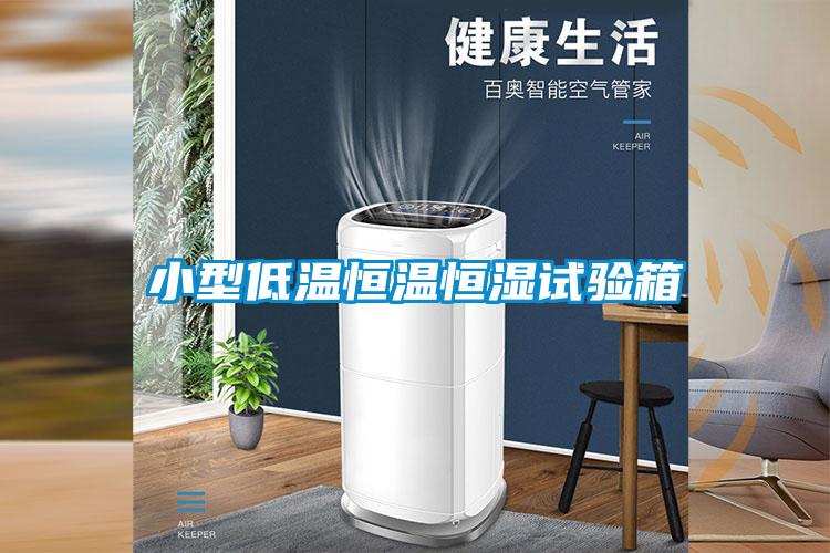 小型低溫恒溫恒濕試驗(yàn)箱