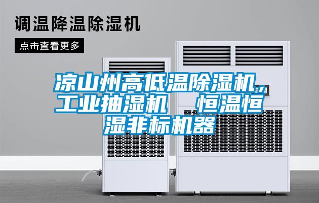 涼山州高低溫除濕機(jī)，工業(yè)抽濕機(jī)  恒溫恒濕非標(biāo)機(jī)器