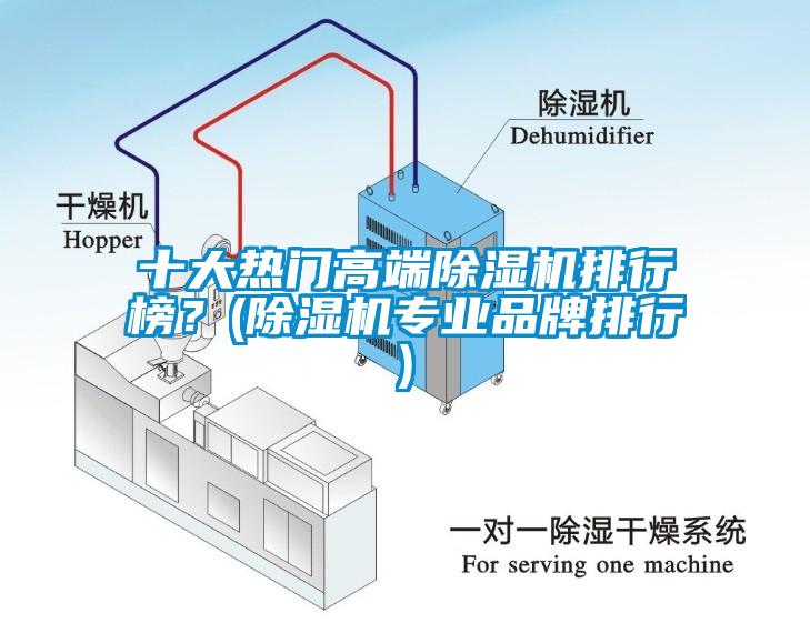 十大熱門(mén)高端除濕機(jī)排行榜？(除濕機(jī)專業(yè)品牌排行)